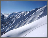Ski Gulmarg - Programme tout Inclus - "Roots"