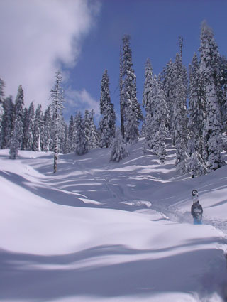 Gulmarg Ski - Gulmarg hotel Image